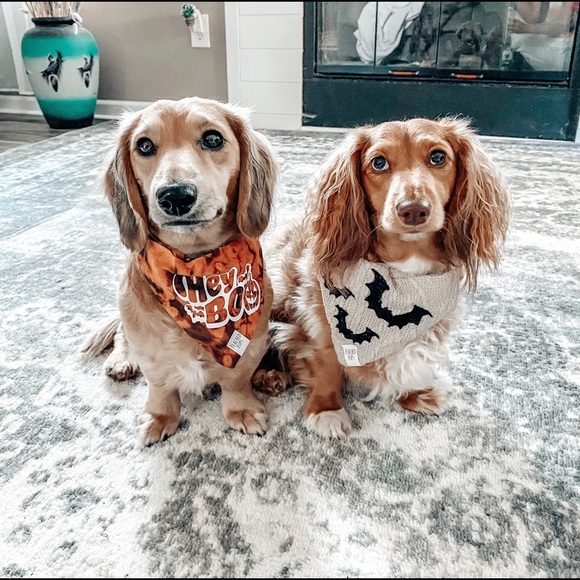 Meet your Posher, Erin - Picture 6 of 9